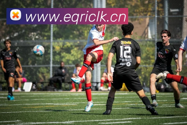 lejing乐竞体育服务体系